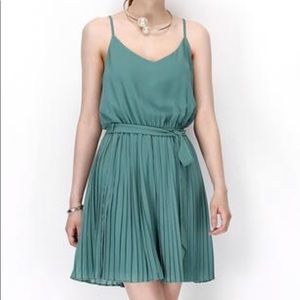 Naked Zebra Flared Dress